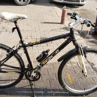 باسكلي • ٨٠/١٠٠ • الزعفرانية