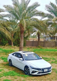 النترا ٢٠٢٤ • كفالة عامة • ماشي ٣٠٠٠٠