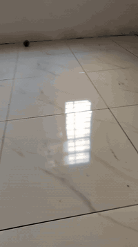 سلام عليكم خلفه سيراميك ارضيات لوح حاليا متفرع واهذ رقمي للتواصل ***********
