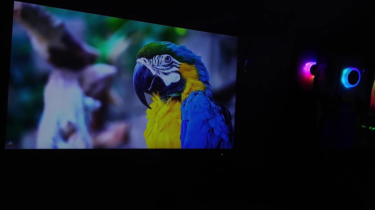 شاشه من براند معروف azuz حجم 24 دقه فول اجدي هرتزيه 100hz استعمال قليل سعر 90 الف 
مكاني نجف للتواصل واتساب رقمي عندي توصيل 
***********
او عبر الرابط https://wa.me/9647761999601
