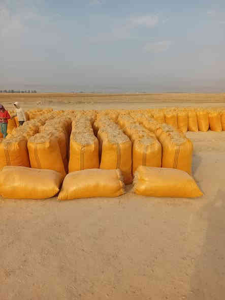 السلام عليكم ورحمه الله وبركاته
تبن للبيع شليف أبو 90 ترس فول سعر الزوج مطروح بالمكان 13000 الاتصال أو مراسلة الصفحة على المازنجر ***********
ويوجد خدمة توصيل أجرة كيا بغداد وديالى والأنبار
