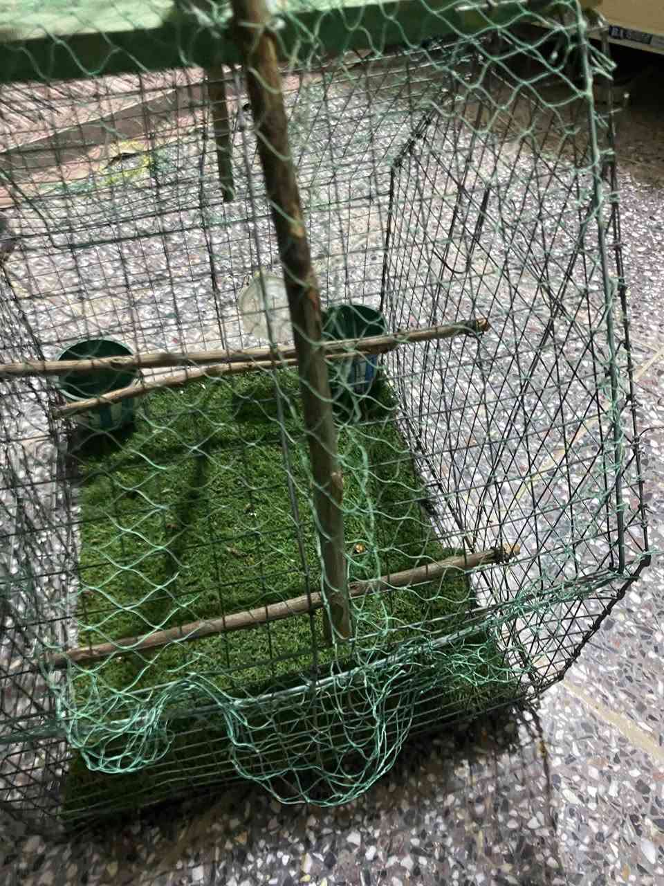 ‏قفص صياد للبيع***********
