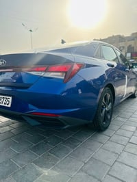 الانتره • ٢٠٢١ • رقم أربيل