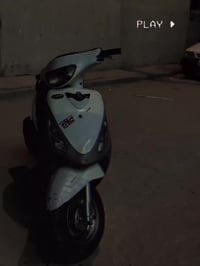 ماكس منغولي • مراوس • بفراشه