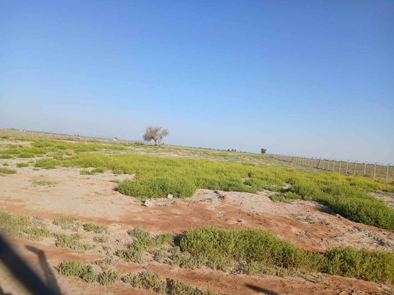 ارض زراعيه ٥ دونم طابوزراعي ٢٥ بسمي سعرالدونم ٤٥مليون وبيه مجال جميع الخدمات متوفره العنوان كربلاء المقدسه خلف منطقة الشريعه قرية الكرطه الاستفار الاتصال على الرقم***********
