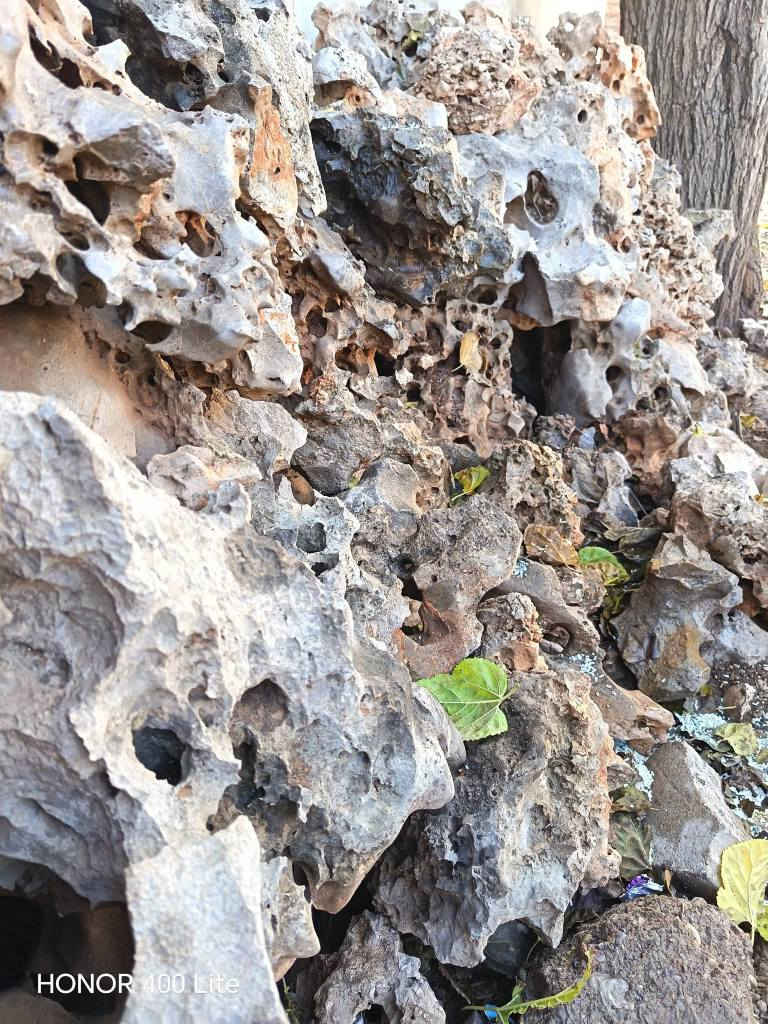 ئەم بەردە کون کونانە بۆ فرۆشتن
بۆ ڕازاندنەوەی باخجەکانتان 
بەردەکان زۆر جوانن 
دوو پیکابی تاکمان هەیە
ناونیشان هەڵەبجەی شەهید 
بۆ نرخ چات بکەن حلبجة, السليمانية


**إذا كنت صاحب هذا الإعلان وتريد حذفه لأي سبب، رجاءا أرسل رسالة إلى الدعم الفني**