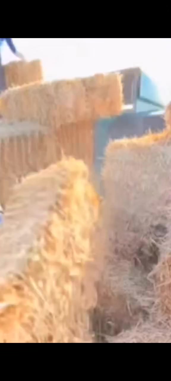 *********** ***********
