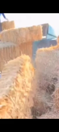 07733742486 07838955614