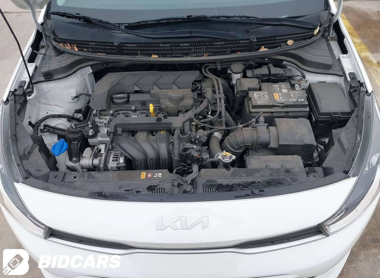 سلام عليكم اخواني الاعزاء
كيا ريو ٢٠٢٣ معوقين كربلاء وكالة عامة مطلقة
وارد امريكي حادث جدا بسيط موضح بالصور 
مكينة ١٦٠٠ دبل نوزل 
رقم كربلاء انكليزي 
ماشية ٣٥الف 
موصفات عادية
شاشة 
كامره خلفية
تحكم استيرن
مثبت سرعة 
انظمة قيادة عادي وسبورت 
السعر المطلوب ١٣٣ ورقة وبيه مجال 
مكاني كربلاء - فندق البارون 
***********
