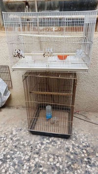 ديكور بيت • قطعتين