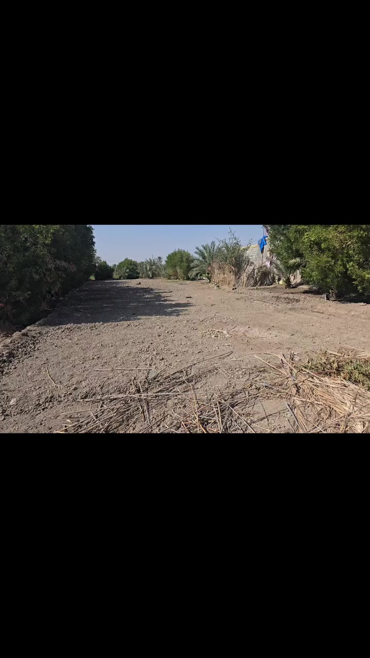 أرض زراعية من 900-1000 بمنطقة ام حكروص مسافة ١كيلو متر عن مدرسة بلال الحبشي وتبعد عن جسر المالح 4كم مسافة ٧ دقائق
الاتصال ***********
