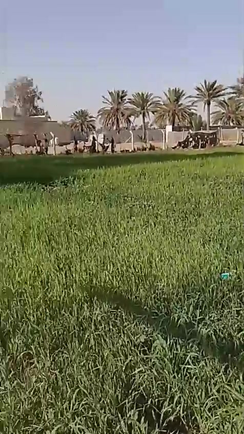 من رخصة مدير الكروب المحترم قطه1000متر للبيع ومشتمل 70متر ف مكانات مختلفه جنس الارض زراعي
للاستفسار ***********
