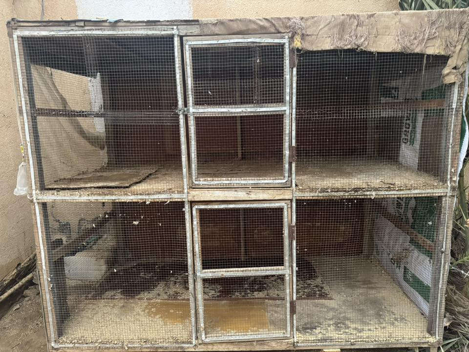 ***********
قفص للبيع السعر 50
