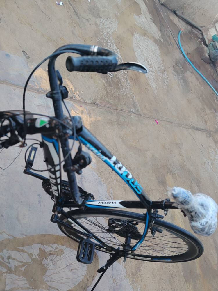 سلام عليكم رمضان كريم  بيسكل رياضي شرط. نضيف ايي عيب مابي سكون مكسور كير كامل شغل 
80وبي مجال نشاء الله ♥ كركوك, العراق


**إذا كنت صاحب هذا الإعلان وتريد حذفه لأي سبب، رجاءا أرسل رسالة إلى الدعم الفني**