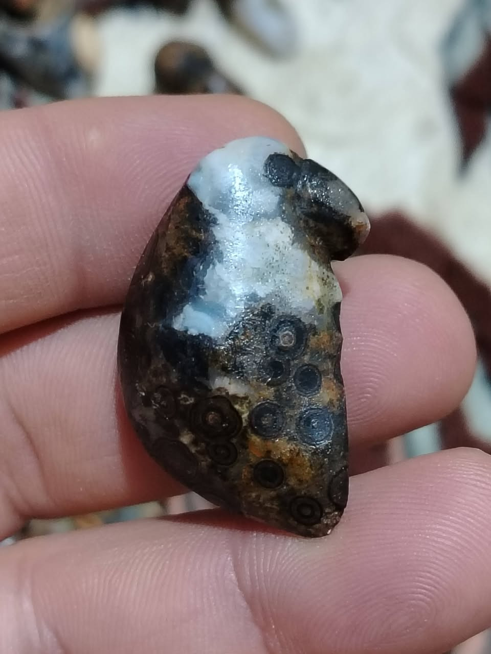 مجموعة من الخام اليماني المصور 
كل حجرة وسعرها


**إذا كنت صاحب هذا الإعلان وتريد حذفه لأي سبب، رجاءا أرسل رسالة إلى الدعم الفني**