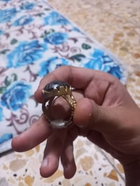محبس • هبهاب