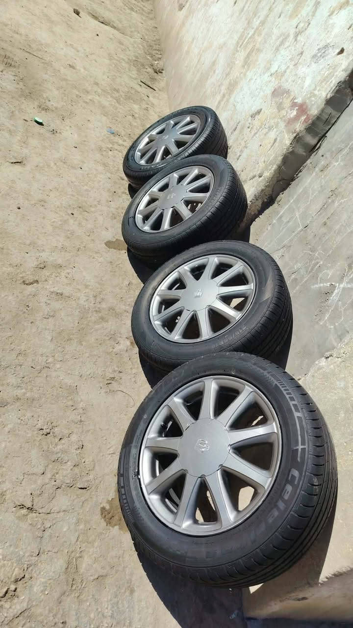 السلام عليكم للبيع تخم ويل نجمه كامل مصبوغ نفطي فقط مامجلي ابد شراي يتصل يدلل ***********2 مكان كربلاء طويريج
