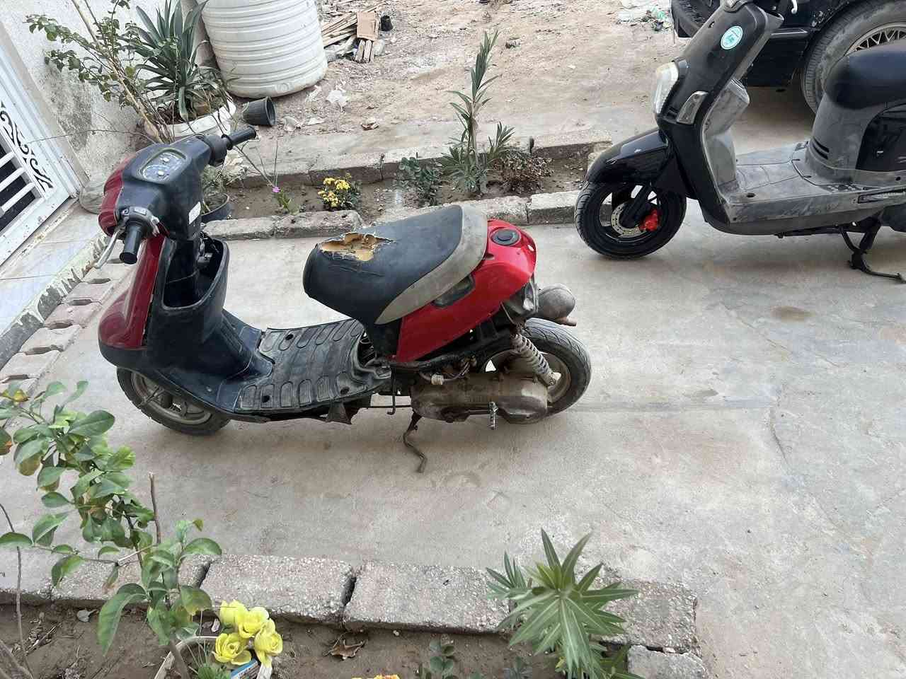 دراجه بطه نضيفه محتاجه تجفيت تجيب ستوته وتجي تأخذها محتاج تجفيت فقط لا غير مو كوم حديد السعر130 بيها مجال العنوان كربلاء حي الحر***********
