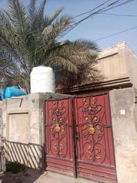 منطقة الالف • ١٠٠م • قرب اسماك العامري