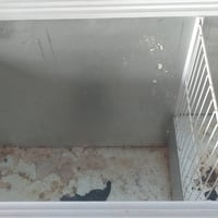 براد للبيع سعره 75 عارضه للبيع سعر 200 سلم الجبوسه للبيع سعره 10,000 م...