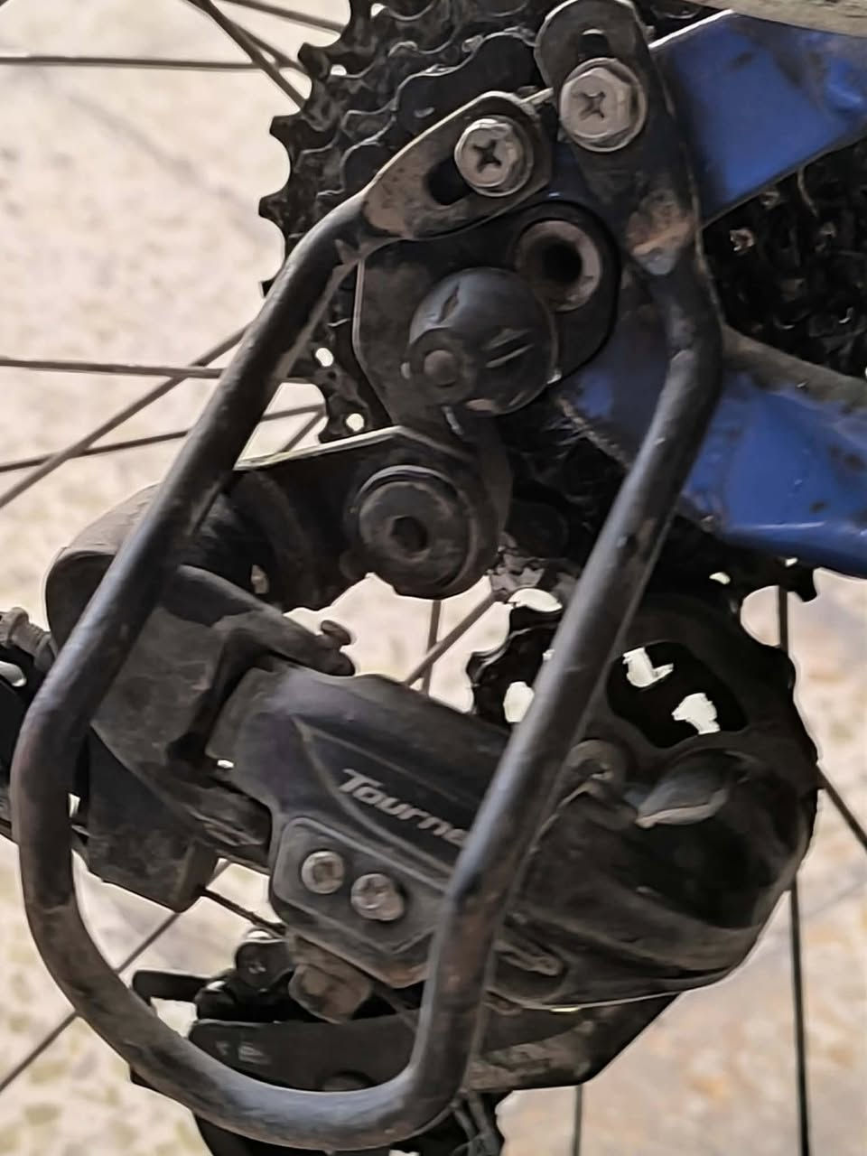 سلام عليكم عندي هذا اللويس                          ابريكات شيمانًو فحمات
استيرن 90 وركبه سبع ألوان 

وكلشي واضحه بل صوره 

العنوان :موصل حي الدندان 

الرقم ***********
 قبر خلفي 8 وأمامي 3
