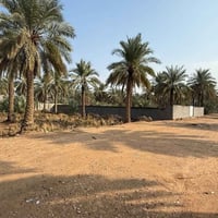 بغداد عامود ٣٠٠ • ٦٢٥م٢ • طابو سند ٢٥