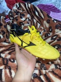 ميزونو موريليا نيو • مقاس ٤٣ • وزن ريشة