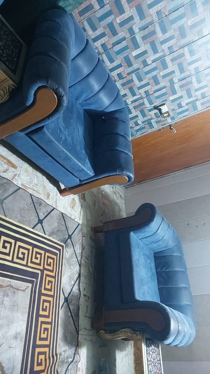 مجمده وتخم تسكام جلد شيمون سعر تخم ٨٠٠وبيه مجال ولمجمده ١٨٠وبيه مجال مكان شعله جكوك شارع حسينيه +***********
