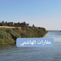 للبيع شاطئية ٤ دوانم شط وشارع الواجهة ٥٠ ، ارض مزروعة بستان كامل مع نخ...