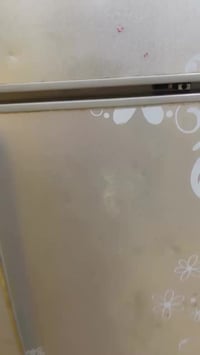 بصره معقل • ثلاجه كبير • سانيو ٢٤