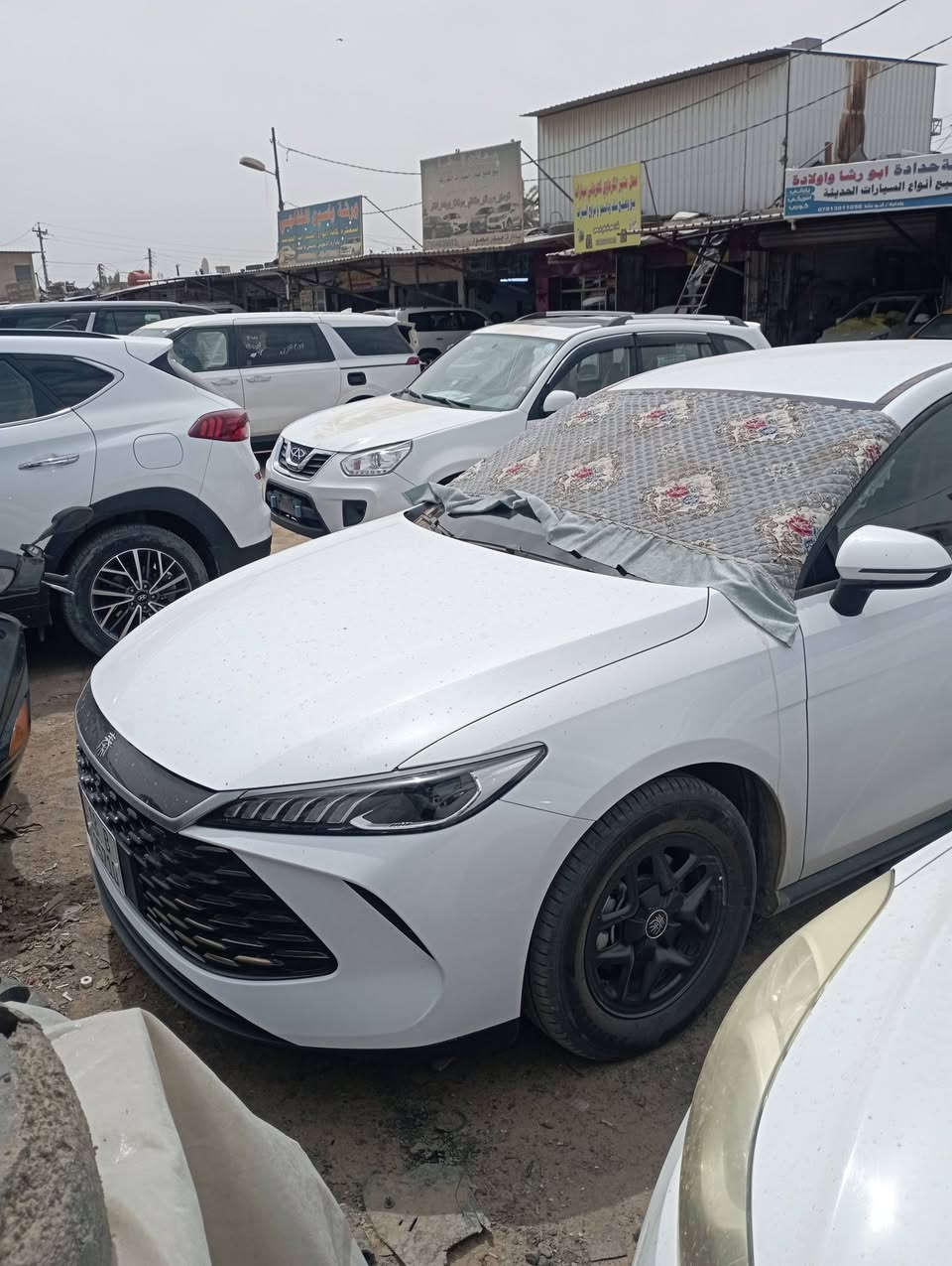السلام عليكم بي واي دي كن بلص ٢٠٢٥ داخل ابيض ماشيه  ٢٠٠٠ اخت الزيرو مكفوله من كلشي على وضع الشركه مدوشمه ارضيه وجنطه وكشنات وغلاف ستيرن خياط وكاعيات شغل درجه اولى باسمي بابل الاتصال *********** رقمها ومكانها بابل
