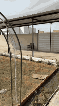 سلام عليكم  بيت يحتوي عله غرفتين وصاله وحمام ومطبخ فول خدمات ماء كهربائيّة البيت مساحته دونم وجلسه خارجيه وكرفان الحارس العنوان مدائن شارع سيد علي عل سده منطقت التويثه السعر خاص . ***********
