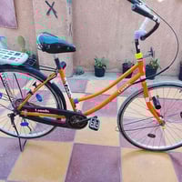 باسكل ٢٦ • ليدز • موديل ١٩