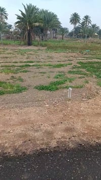 ٤٠٠م • طابو زراعي • قرب العلوية شريفة