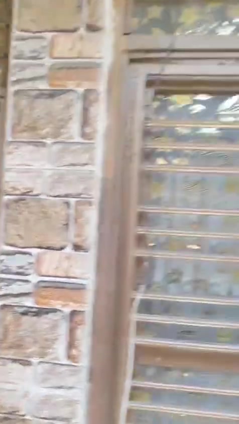 السلام عليكم
مشتمل للبيع زراعي بالزراعي اللي بين الصحه وشارع 60 خلف قاعة باور هاوس مساحته 75 متر الواجهة 5 متر والنزال 15

يحتوي الدار على مدخلين استقبال وحولي كبير بيه المطبخ وصحيات وغرفة نوم واحدة ومنور

وفي الطابق الثاني غرفه نوم واحده مع صحيات

للاستفسار عن السعر الخاص مفتوح

للاتصال *********** او ***********

لرؤية منشوراتي اكتب دلالية ابو كرار الشويلي للعقار وراح تشوف كل شي موجود واي شي يعجبك راسلني عليه وتدلل وانا بخدمتك ومستعدين لعرض عقاراتكم لدينا اتصل بنا واتس اب او ماسنجر وبالخدمه
