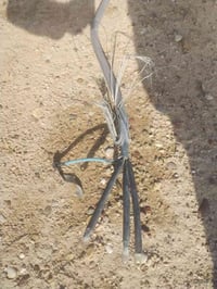 كيبل ابو 16 نحاس طوله 18 متر للبيع اليريده يتصل عل هاذ ارقم 0774355044...