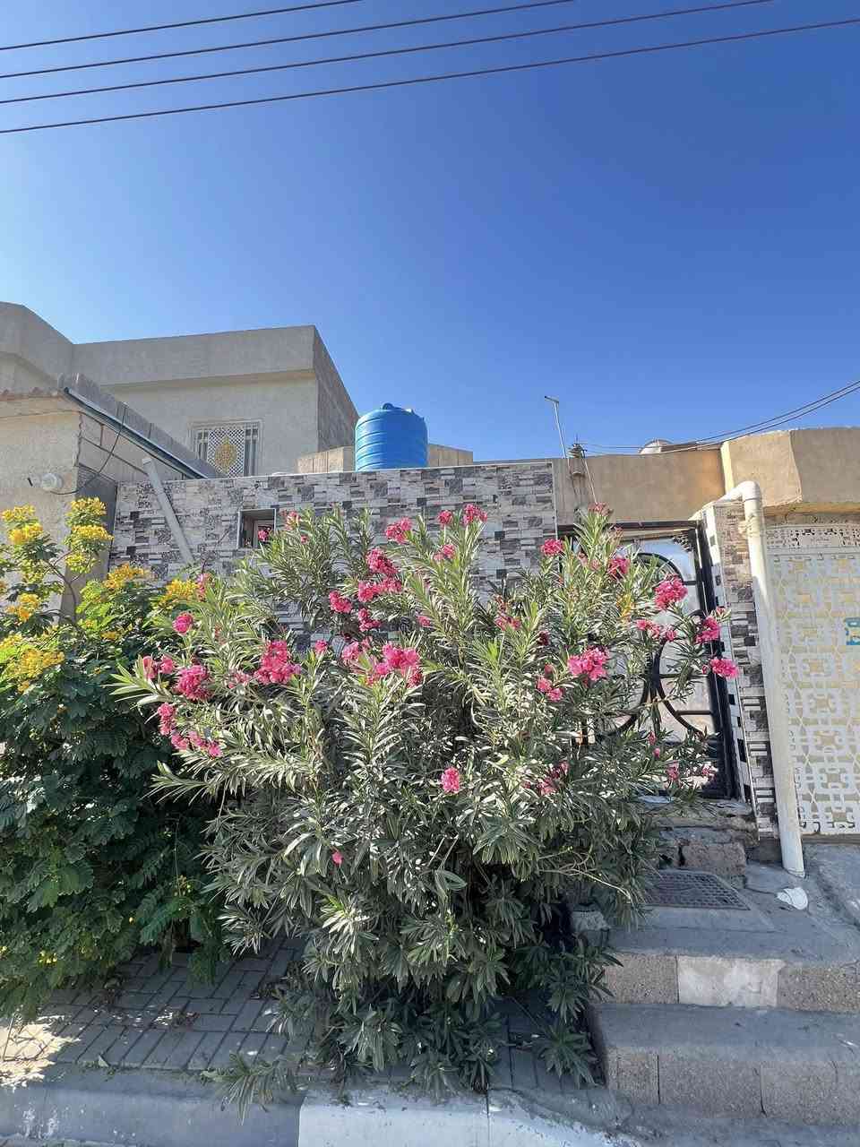 سلام عليكم بيت للبيع المساحه100متر يحتوي البيت عله ستقبال وصاله وغرفه وحمام خارجي وداخلي ومطبخ حار وبارد السعر130 تواصل وتساب***********
