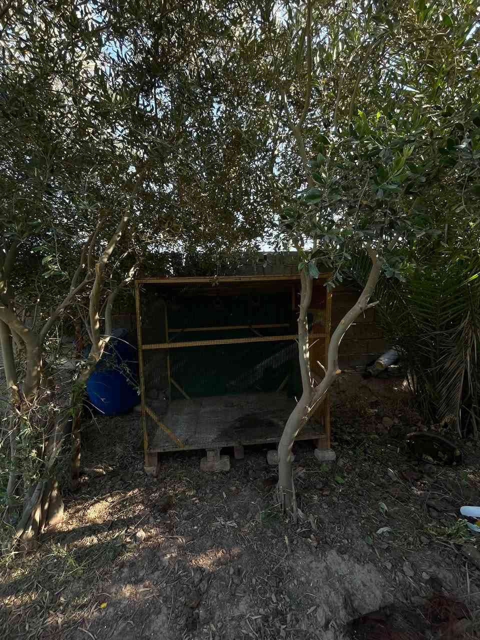 سلام عليكم
قفص للبيع يرهم الى دجاج وطيور زينه 
الارتفاع 151 والعرض 151والنزال 100
للبيع السعر 65الف شراي يتصل على رقم  *********** مكاني بابل مشروع قرب معسكر محاويل
