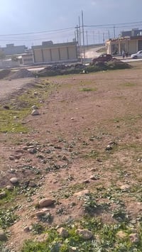 جمعية النفط • مقاطعة ١٧٣ • ١٥٠م