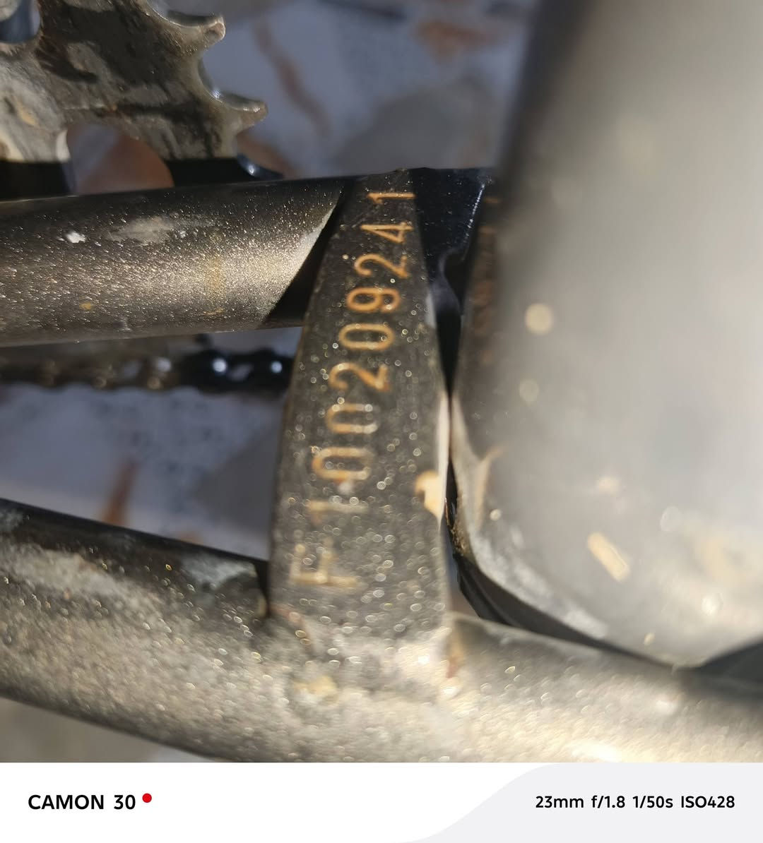 باسكل نضيف ٧٧بل ميه السعر ٥٥وبي مجال المكان نجف أبو صخير عامود ٨٠ ملاحضه مبدل ماشه وجاملغات من غير باسكل ياباني موديل 2017


**إذا كنت صاحب هذا الإعلان وتريد حذفه لأي سبب، رجاءا أرسل رسالة إلى الدعم الفني**