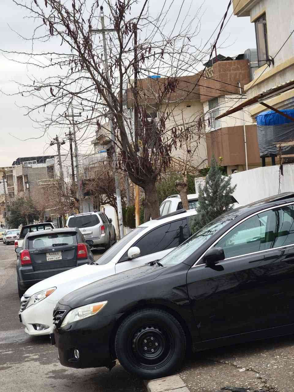 toyota camry 2011 XLE ڕەنگی ڕەشی قەتران یەك پەلە بویاخی زور بچوکی هەیە سارد کارت کرانەوە کالبونەوە تەرزە بەشەرت پێشودوا کەپس گێڕومەکینە بەشەرت مەکینەی کراوەتەوە بەس بەهەموو شەرتی بی عەیب سەنەوی تازەیە ڕەقەم تازە چوار تایەو ویلی سفرسفر مواسەفات بیلاد بەسمە سلایت کوشن جلد کوشن هیتەر دوو کوشن کارەبا ناو فۆڕمیکا سەعات ئۆریونا بیلاد پەردە بیلاد حاسەی پیشو دوا سوکان ڤولیۆم تەحدید سورعە دەبل تراکشن گێڕ سپۆڕت تەبرید لەمس  تەرجیل و سەماعە بۆزانیاری زیاتر پەیوەندی بکەن *********** سعر  125  کۆتای السليمانية, العراق
