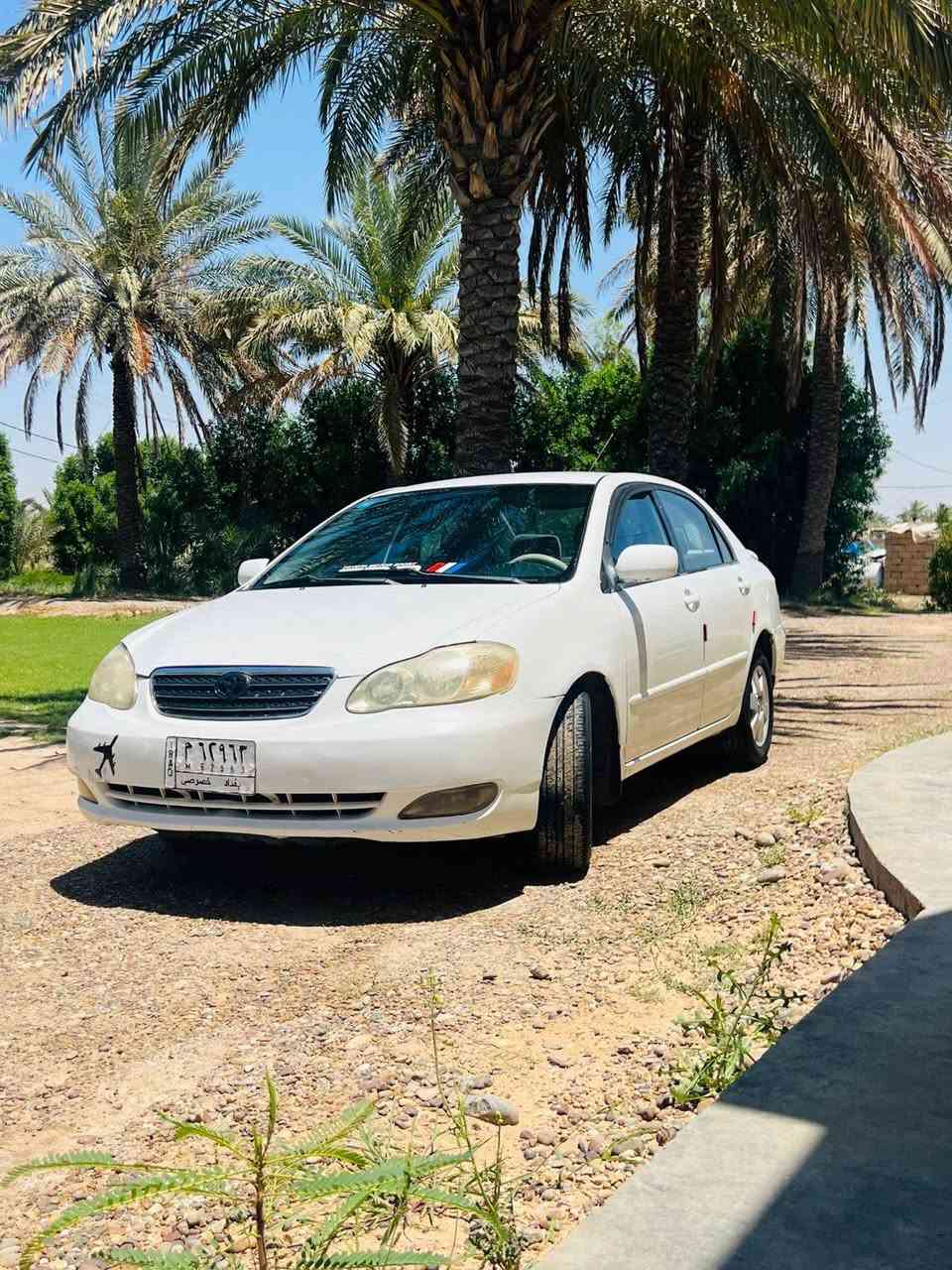 السلام عليكم كورلا نحله للبيع موديل 2003 السياره جاهزه من كلشي بيهه كم قطعه صيغ ابيعهه مصبوغه احزام السياره ليبل واحد السعر 88 وبيهه مجال السياره كير ومحرك ابشرط تبريد شغال صدر امامي خلفي تخم تاير جديد 
العنوان بغداد قرب قريه اجعاري 
 للتواصل ***********
