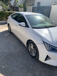 النترا • ٢٠١٩ • بونيت صبوغ