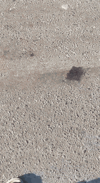 السلام عليكم بيكم موديل 2001 رقم بصره بأسمي السعر 75 للاستفسار والرد ***********
