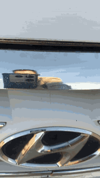 السلام عليكم النتره للبيع ١١خليجي محرك ١٦٠٠اوتو كير ومحرك وحد اديه جدد تخم تاير جديدتبريد تدفه جاهز من كلشي السعر ١٠٠المكان الدوانيه غماس للستفسار اكثر علا الرقم ***********
