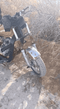 ستوته للبيع كلك مكفوله تفاصيل ***********
