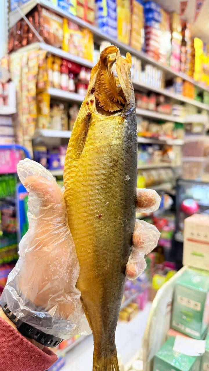 يلاااا. بينا رنجه بقى قبل العيد هنزهق بقى من اللحمه والفته يبقى لازم رنجه قبل العيد ♥️♥️😋🙈

رنجه ابو السيد وصلت فورى 
االلي يعرفها الاكيله بس
تعالي عندنا وشوف رنجتنا 😍😍😍
ابو السيد رقم واحد فالعالم (رنجة بورسعيد) 
أكيد سمعت عن إن رنجة أبو السيد أكتر رنجة مميزة فى السوق 😎
👉👉👉😍😍😍 رنجه هولندي
احلي وانضف  انواع الرنجه اللي ممكن تاكلوها


**إذا كنت صاحب هذا الإعلان وتريد حذفه لأي سبب، رجاءا أرسل رسالة إلى الدعم الفني**