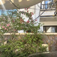 البلديات • ١٠٠م • ٤ غرف
