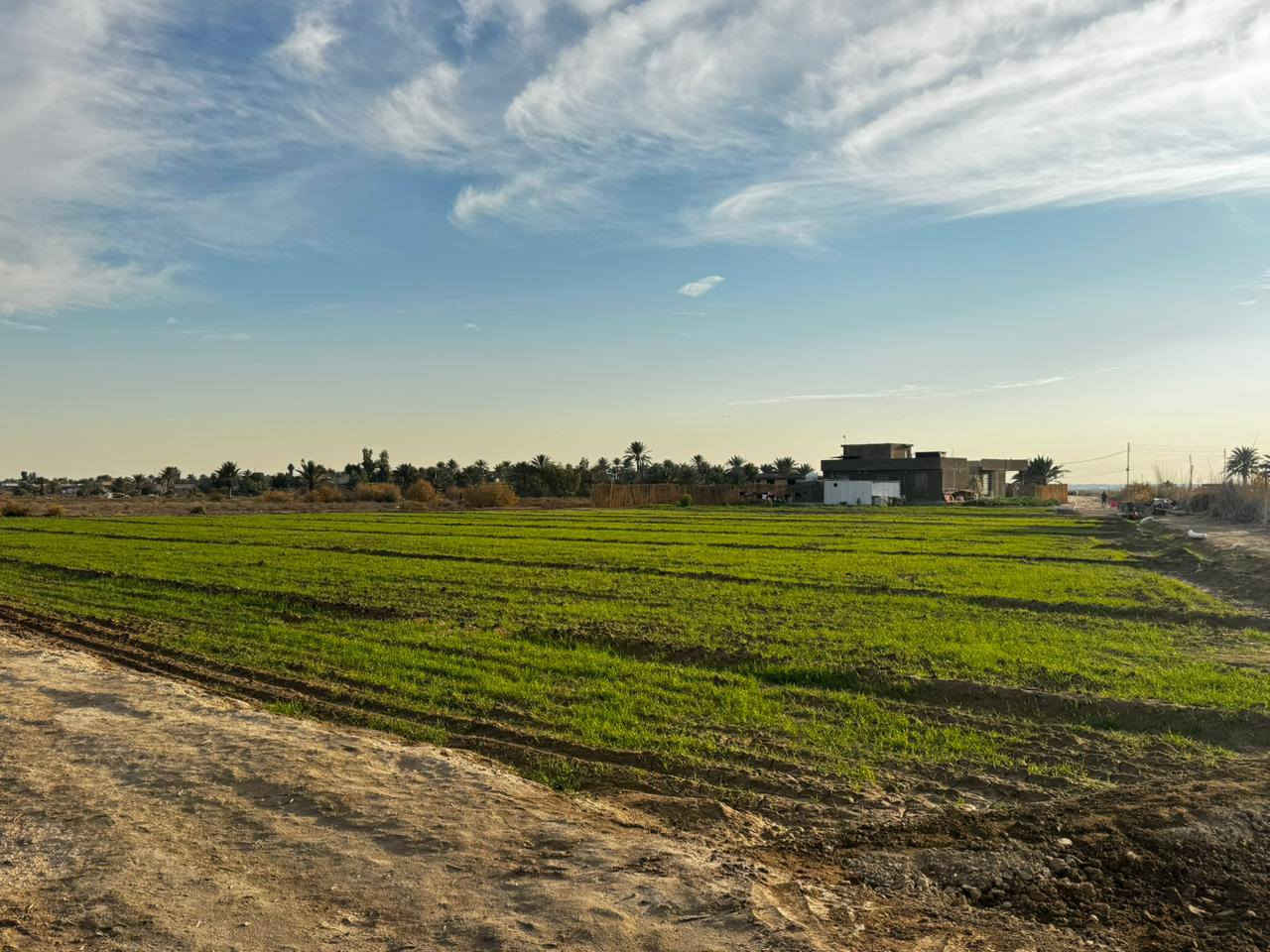 #للبيع
السلام عليكم 
ارض زراعيه مع دار سكن حديث 2025
المساحه الكليه /دونمين ونص 6250متر
الموقع/بابل -محاويل - ناحيه الامام -قريه المرجانيه 
للاستفسار اكثر ***********
***********
ثائر ابو حسين
