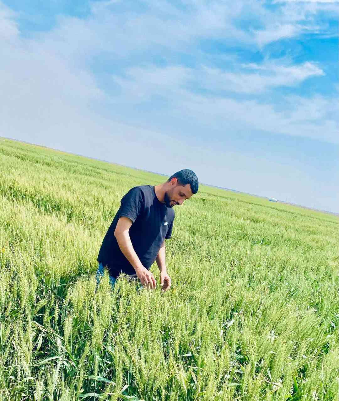 🙌 *إعلان من مكتب الخضر الزراعي الفني* 🌿

🌱 *مبيدات ادغال الحنطة والشعير:*
- *عريضة ورفيعة الأوراق* 🔥
- *أسعار مناسبة* 💰 لدعم المزارعين
- *مبيدات مسجلة* لدى وزارة الزراعة ✅

📅 *برنامج تسميدي متكامل* من مناشئ رصينة
👨‍🌾 *زيارات وإرشادات زراعية* بإدارة المهندس الزراعي:
*أحمد سلمان فتنان*

📍 *الموقع:* الخضر - مقابل مستشفى الخضر العام
📞 *للتواصل:* ***********

نخدمكم بأفضل ما لدينا! 🌱
